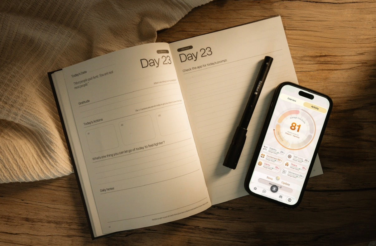 One Story 100-Day Transformation System